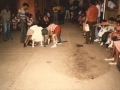 Shoes in box game