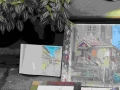 IMG_7177